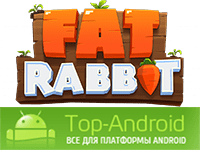 Fat Rabbit